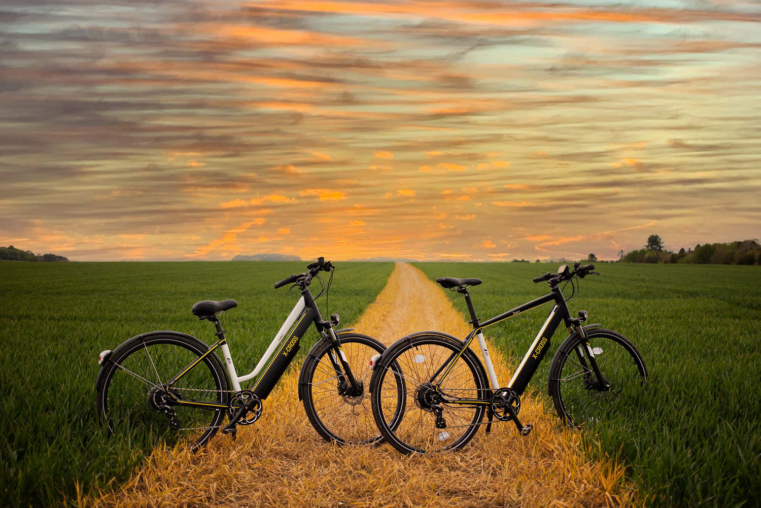 X cross best sale cycle